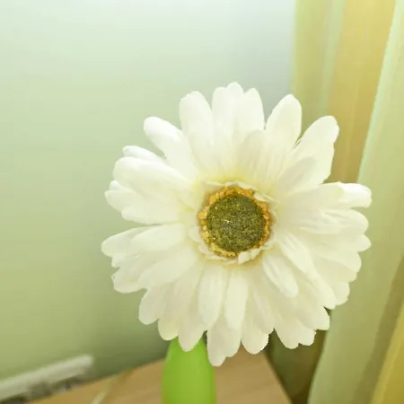 Haus Moewe - Apt. 06