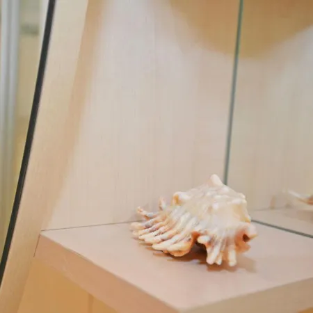 Daire Haus Moewe - Apt. 06 *