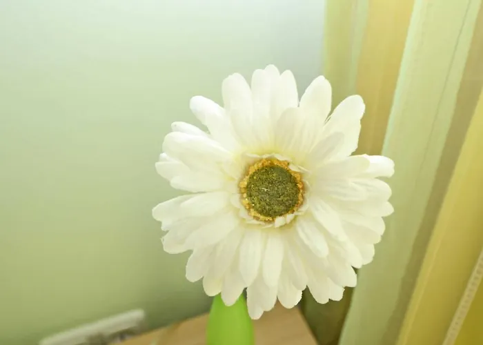 Haus Moewe - Apt. 06